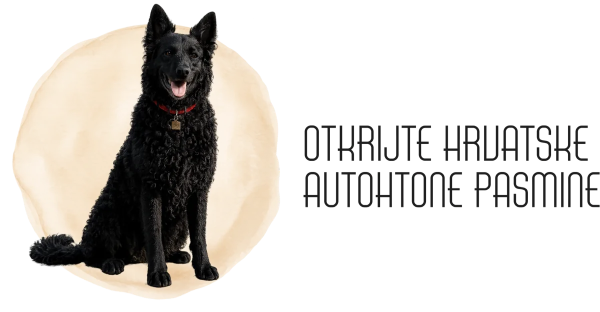 Otkrijte hrvatske autohtone pasmine